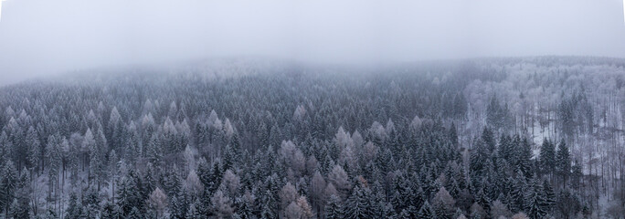 Aerial View of Winter Forest