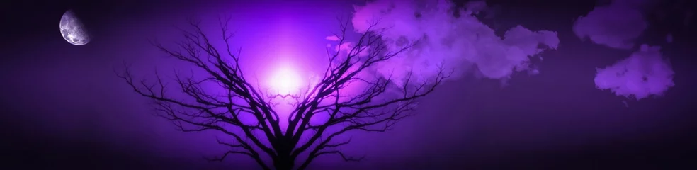 Baum des Lebens © rolffimages