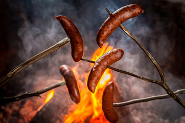 Tasty sausage roasted on the campfire in the summer