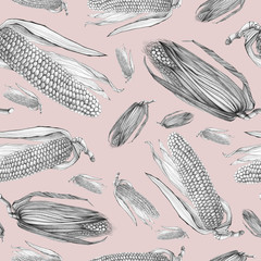 Corn graphic color seamless pattern sketch illustration