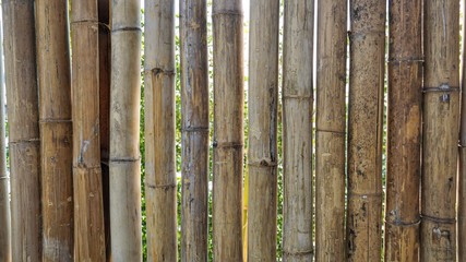 bamboo wood background