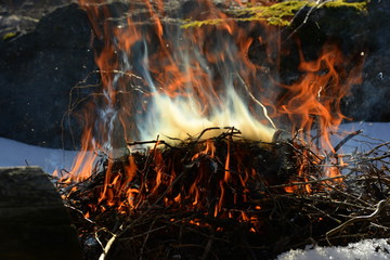 Winterlagerfeuer. Verbrennen von holzigen Gartenabfällen 