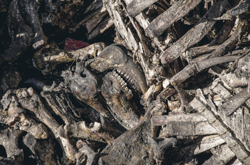 Animal bones piled up in a pile. Death, meat, murder