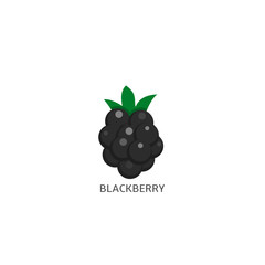 Blackberry icon Vector illustration