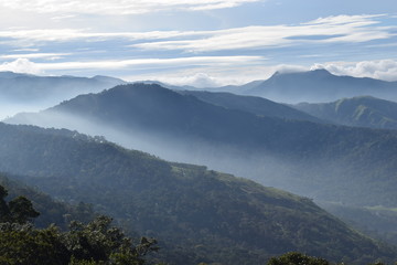 Mountains Munnar