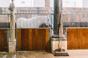 Royal Stable in Denmark, the city of Copenhagen in the territory of Christiansborg Slot. Old stable with white horses in stalls