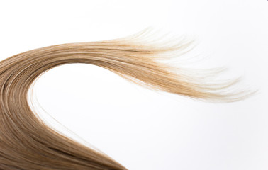 Piece of brown hair on white isolated background
