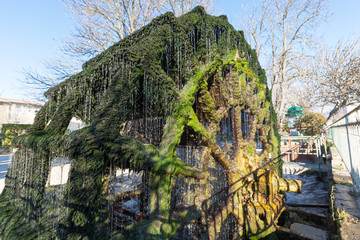 Fototapety na wymiar - Fototapeta24.pl