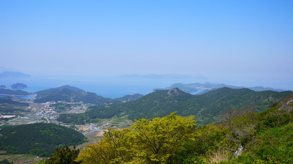 Naklejka premium P1090140