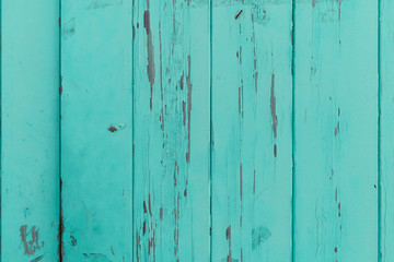Turquoise wood texture surface. Old wooden painted timber background. Mint, rustic, summer door concept.