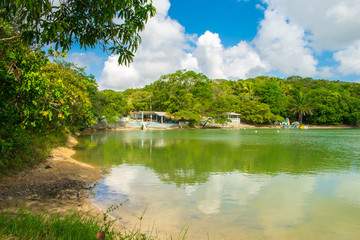 A view of Lagoa Azul, beautiful lagoon surrounded by preserved Atlantic Forest on Itamaraca island, Brazil