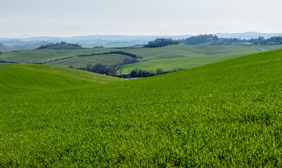 Panorama of the Sienese hills and the Tuscan countryside