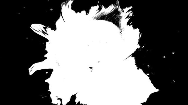 Bloom ink. Beautiful white watercolor ink drops transition on black background,