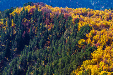 autumn in the Caucasian mountains, Oni district, Georgia Country