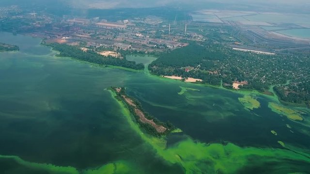 aerial of wide river infected with green algae near big industry zone