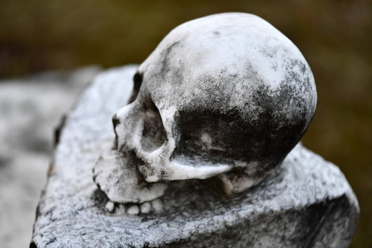 Side view of of a sandstone sculpture of a skull on an old tomb stone.