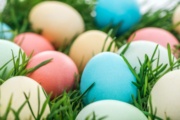 close up of traditional easter eggs on green grass