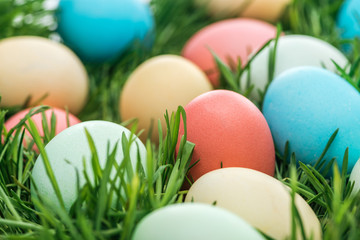 close up of easter chicken eggs on green grass