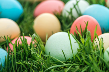 close up of pastel easter eggs on green grass