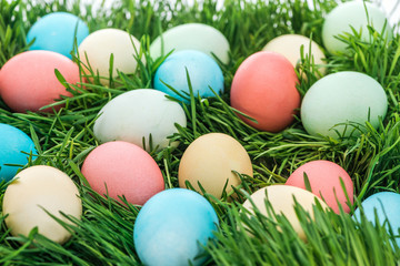 Fototapeta na wymiar Close up of colorful easter eggs on green grass