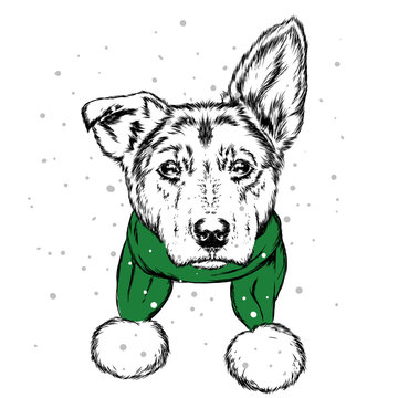 The puppy in the Christmas hat. Santa Claus dog. New Year and Christmas, winter holidays. Vector illustration for postcard, or print on clothes.