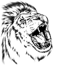 Beautiful leo with open mouth and fangs. Wild animal, predator. Vector illustration for greeting card or poster, print on clothes. Hand drawing. Lion.