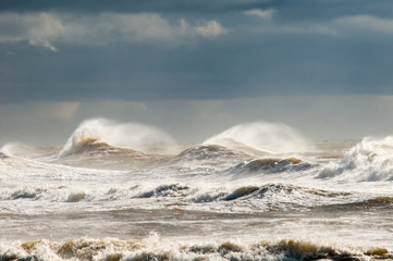surf