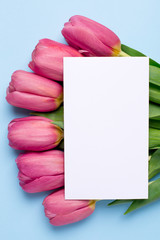 Pink flowers tulips and present card on a blue background