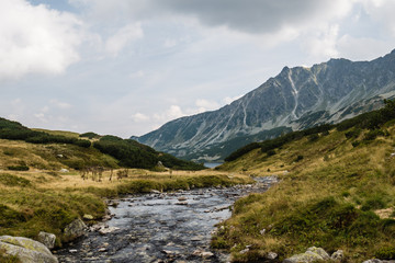 Górski potok na tle górskich szczytów w tatrach w polsce