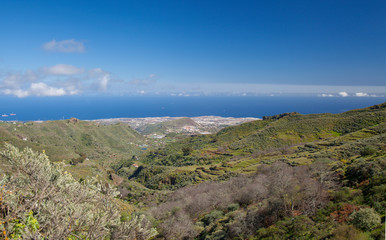 Fototapeta premium Gran Canaria, February