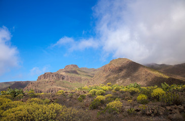 Gran Canaria, February