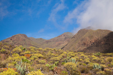 Naklejka premium Gran Canaria, February