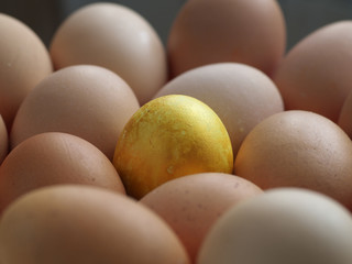 one gold egg lays among ordinary common eggs, cocept of luck
