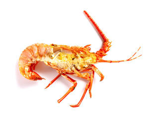 eaten lobster shell on a white background