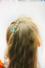 head, rear view