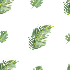 Watercolor tropical leaves pattern with fern the white background, hand painted illustration