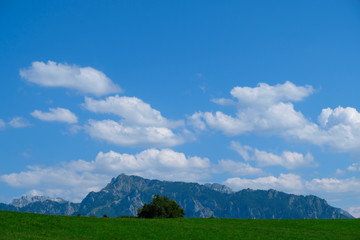 Open field green hill in Allgaeu Bavaria Germany along romantic road.