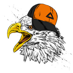 Beautiful eagle in a stylish cap. Hawk or falcon. Predatory bird. America. Vector illustration for postcard or poster, print for clothes. USA.