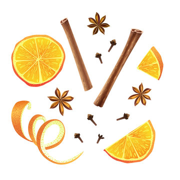 Set of orange, star anise, cloves and cinnamon