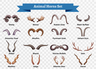 Animal Horns Sticker Set