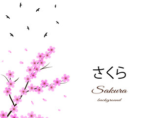 Sakura background with floral tree branch, birds.