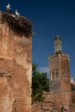 Islamic ruins of Chellah Necropolis, with storks nesting on ruined minaret and neighbouring Mosque of Abu Youssef, Rabat, Morocco