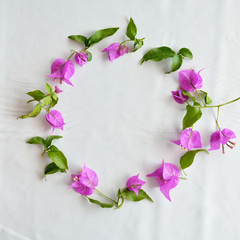 Assorted plant heads on white background. Flowers and leaves scattered on a table, overhead view wallpaper. Flat lay, top view.