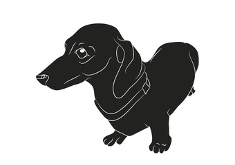 Vector illustration of a cartoon dachshund that stands, silhouette drawing