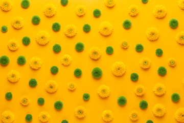 Yellow flower pattern on a yellow background.  Spring greeting card.