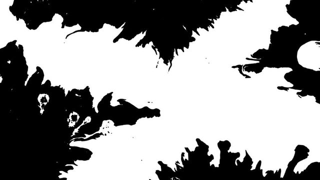 Bloom ink. Beautiful white watercolor ink drops transition on black background,
