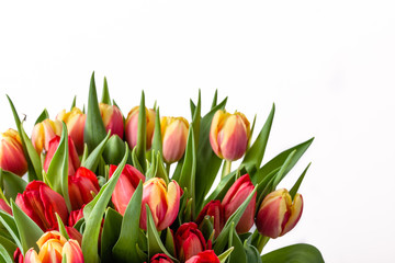 Bouquet of tulips isolated on white background, spring easter flowers, mothers day card
