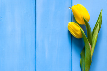 Easter background. Spring tulip on wooden table.