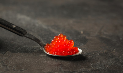 red caviar (sandwich with red snack - buffet) salmon fish, seafood. food background. top view. Footage