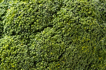 Close up broccoli